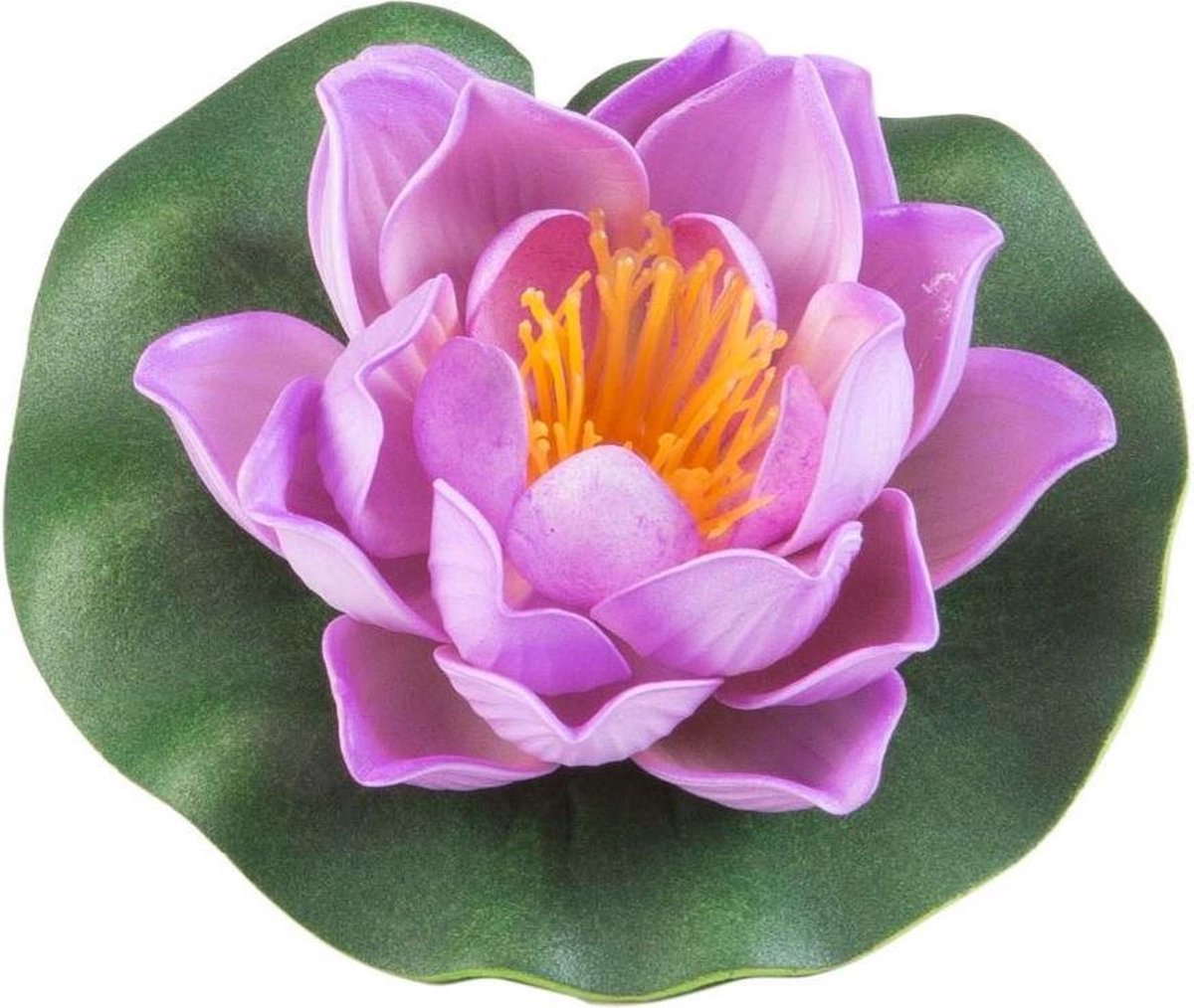 Vijverplanten
