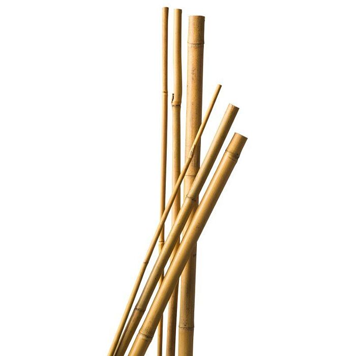 2175c0bf553fd4f2e1ca8a650bbbdcaf.JPG