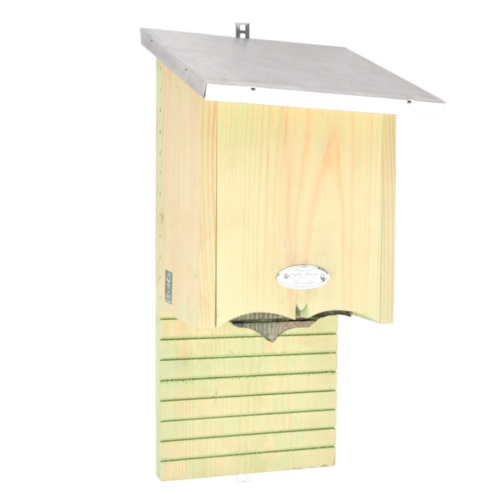 WA58_01.png WA58_01.png