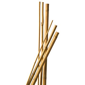 8711338402054_1.JPG