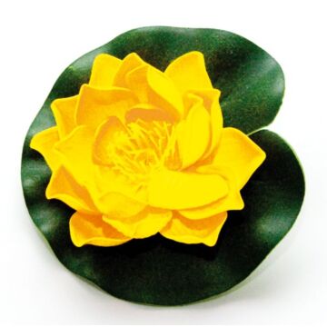 velda_lotus_geel_klein.jpg